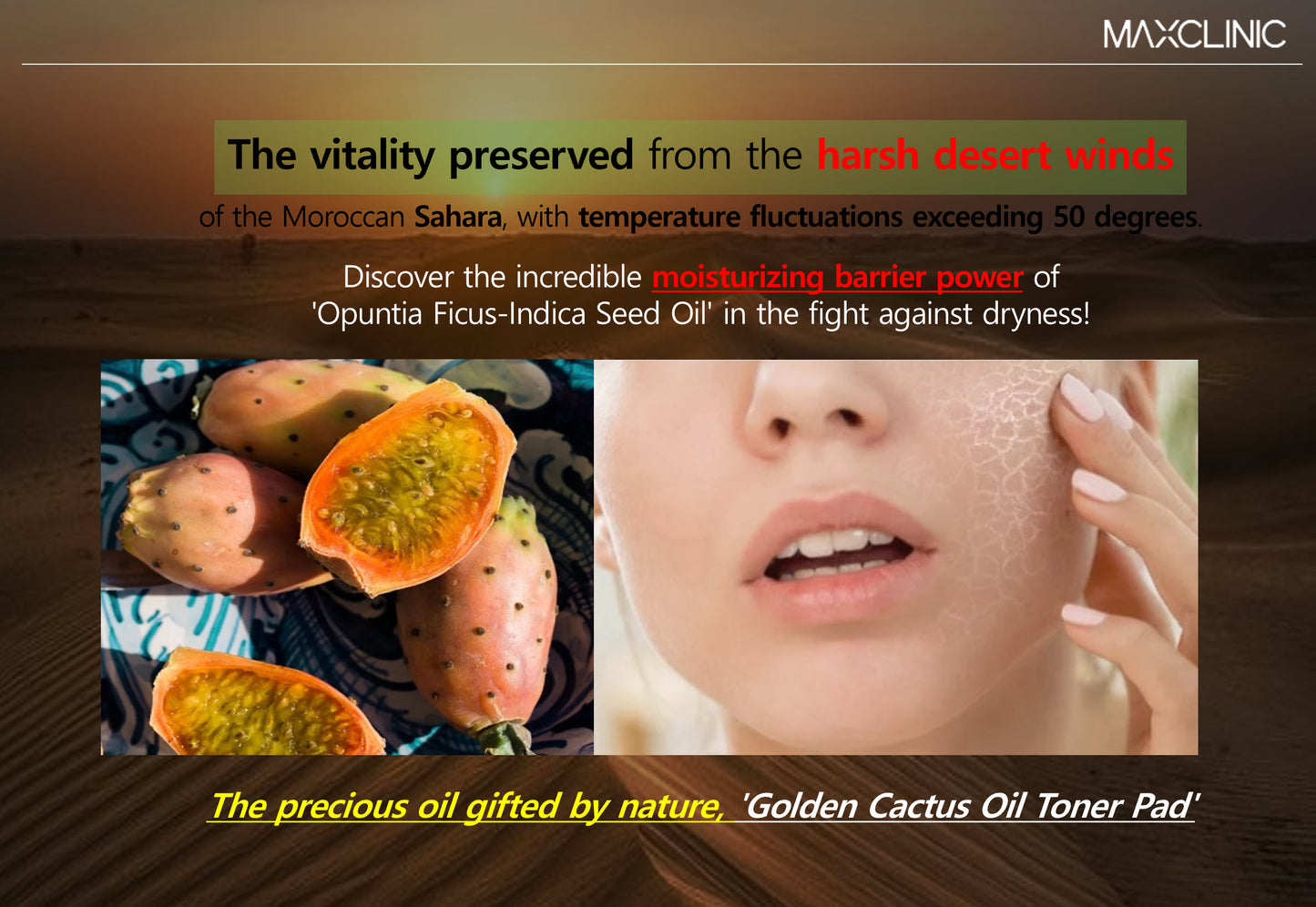 MAXCLINIC GOLDEN CACTUS TONER PAD 60ea 150ml